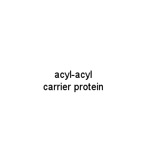 acyl-acyl carrier protein